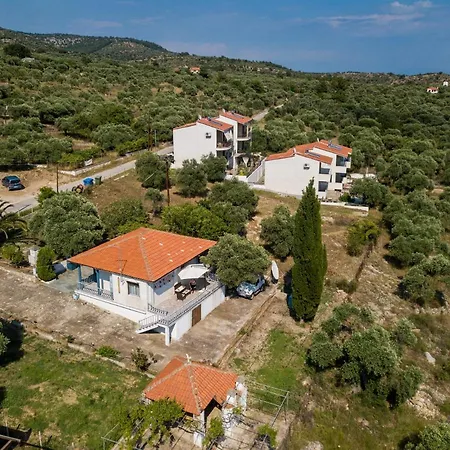 Olive Αστρίδα