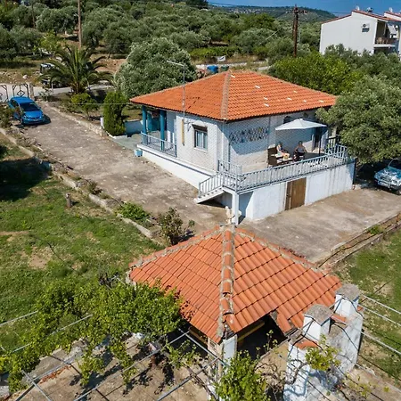 Olive * Αστρίδα