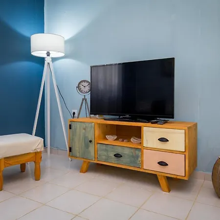 Olive Αστρίδα